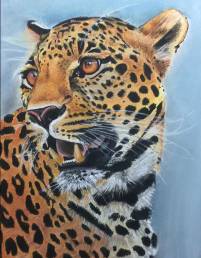 Portrait de jaguar au pastel et en couleur